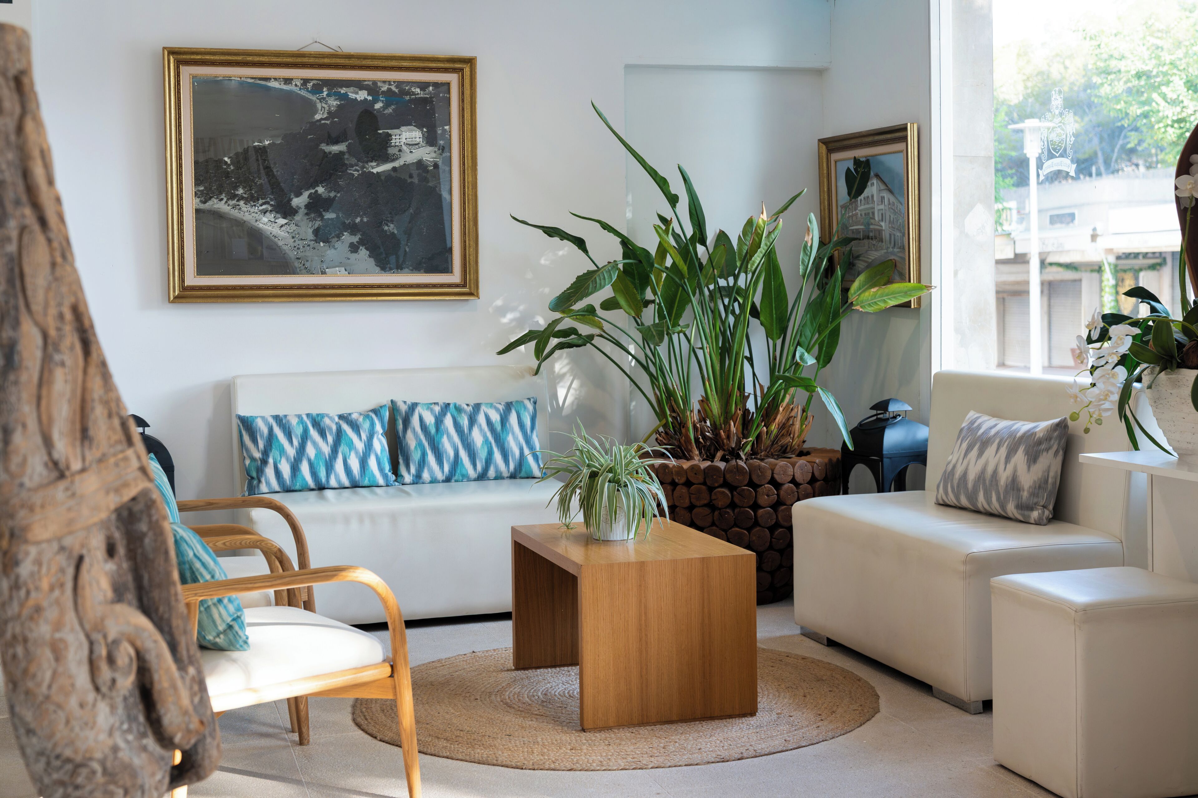 A living room with a sofa, a coffee table, and a potted plant.