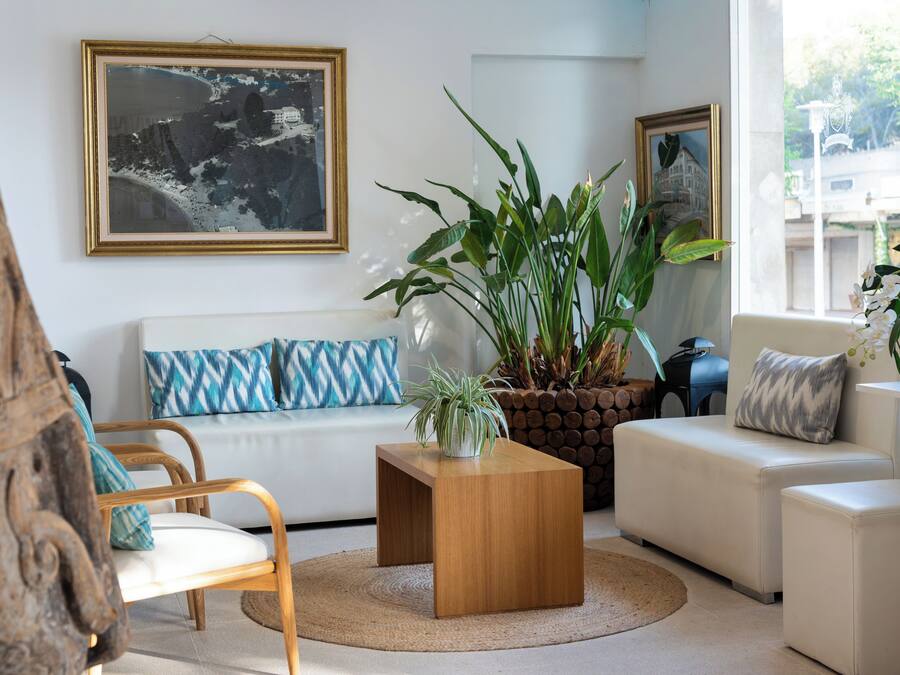 A living room with a sofa, a coffee table, and a potted plant.