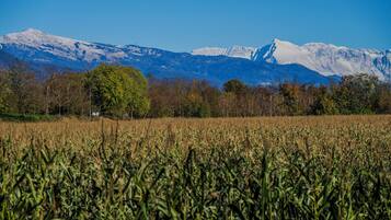 A field with a mountain range in the background.