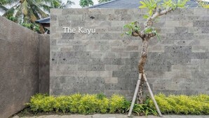 Eine Betonwand mit dem Schriftzug "The Kayu" und ein Baum mit einer Holzstützkonstruktion.