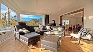 TV connectée, cheminée, jeux vidéo, lecteur de DVD