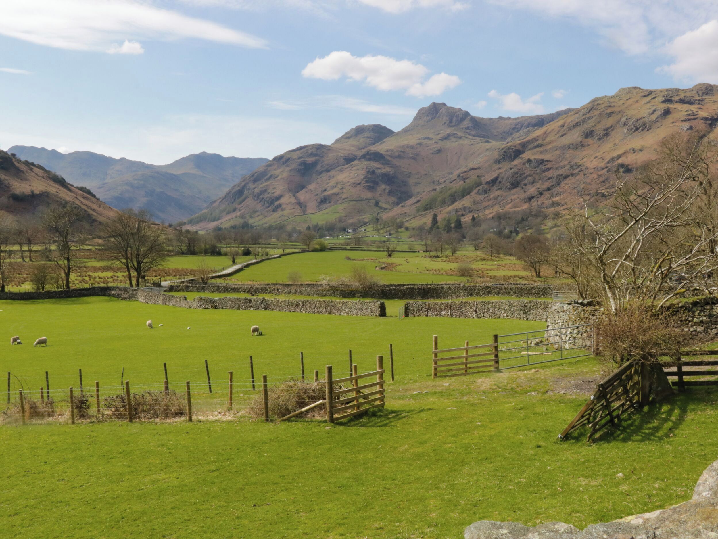 A rural landscape with green fields, sheep, stone walls, and mountains in the background.