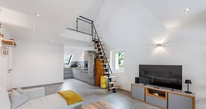 Modern loft on the vineyard in the historic winery with pool, dogs allowed!