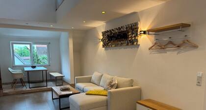 Modern loft on the vineyard with pool, whirlpool and air conditioning. Dogs allowed!