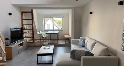 Modernes Loft am Rebberg im historischen Winzerhof mit Pool, Hunde erlaubt!