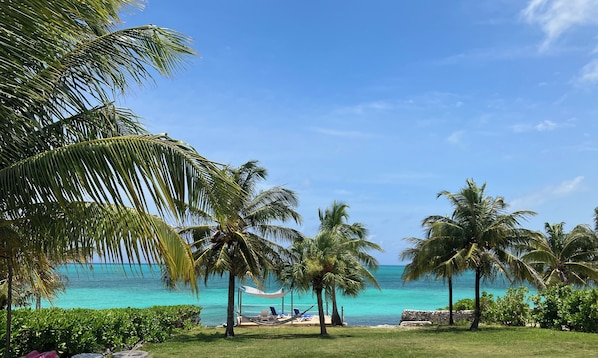 Beach - The Blue House,Oceanfront with 4 bedrooms 2 bath sleeps 10 in beds, water access (Spanish Wells)