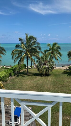 Property grounds - The Blue House,Oceanfront with 4 bedrooms 2 bath sleeps 10 in beds, water access (Spanish Wells)