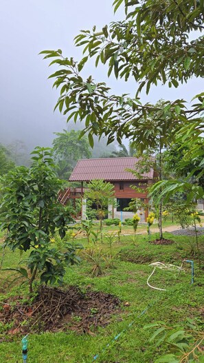 Room, 1 Bedroom, Accessible, Smoking | Property grounds - Room-peaceful House Surrounding by Natur (Ao Luek)