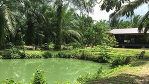 A serene pond surrounded by lush greenery and a building with a thatched roof. - Room-peaceful House Surrounding by Natur (Ao Luek)