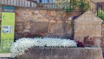 Terrein van de accommodatie