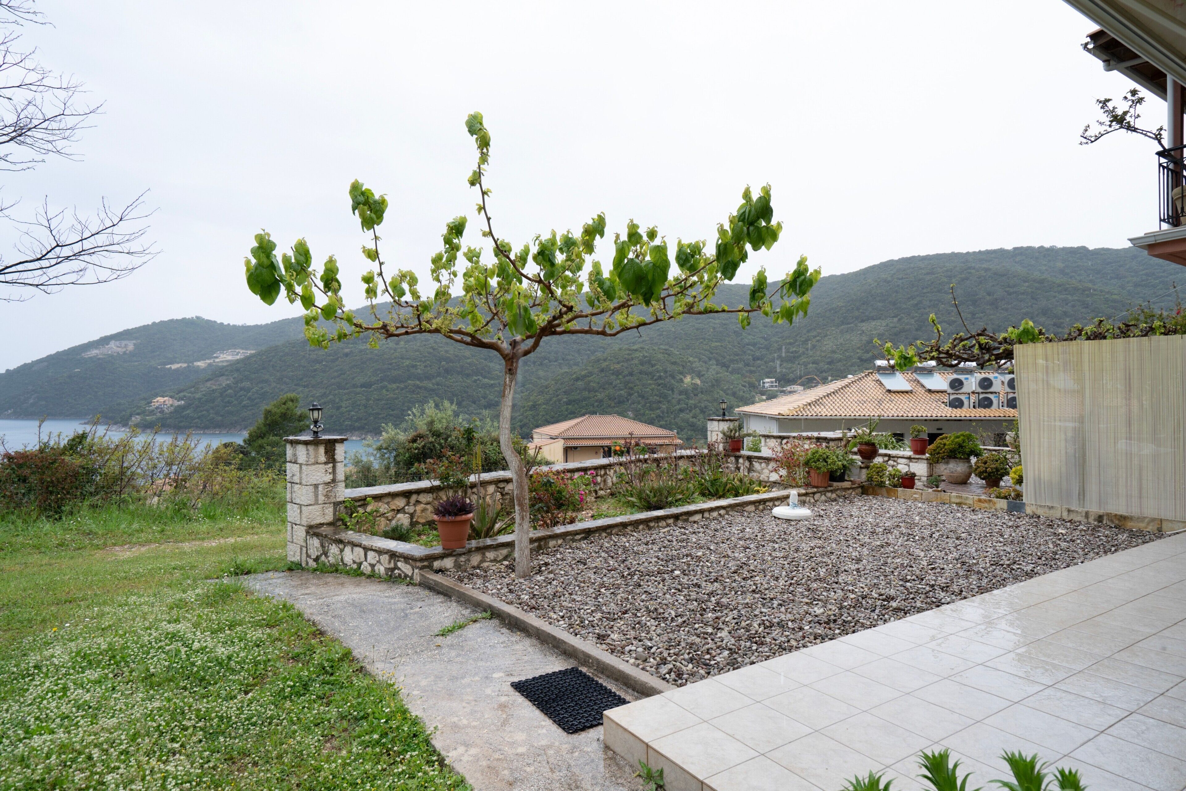 A garden with a tree, a stone wall, and a building with a tiled roof.