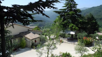 Área da propriedade