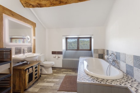 Shower, free toiletries, hair dryer. Country House “Le Ranch Des Ours” with Private Pool, Terrace, and Wi-Fi