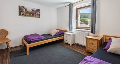 Fleischmannhof Farmhouse with Shared Terrace & Wi-Fi in Falkenstein, Sleeps 12