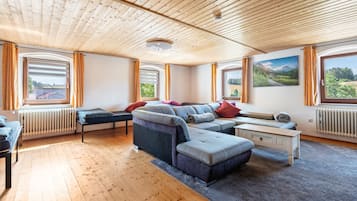 Fernseher