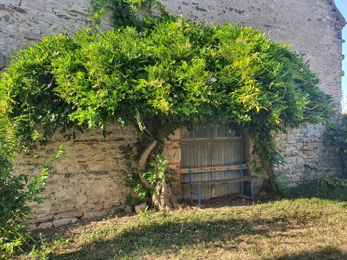 Spacious Apartment in a Bourbonnaise Longère Near Château de Bellenaves