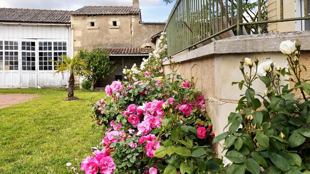 A garden with pink roses, a stone wall, and a building with a tiled roof. - Maison Bellecour: Shared Terrace, Garden & Wi-Fi in Vaudelnay (Vaudelnay)