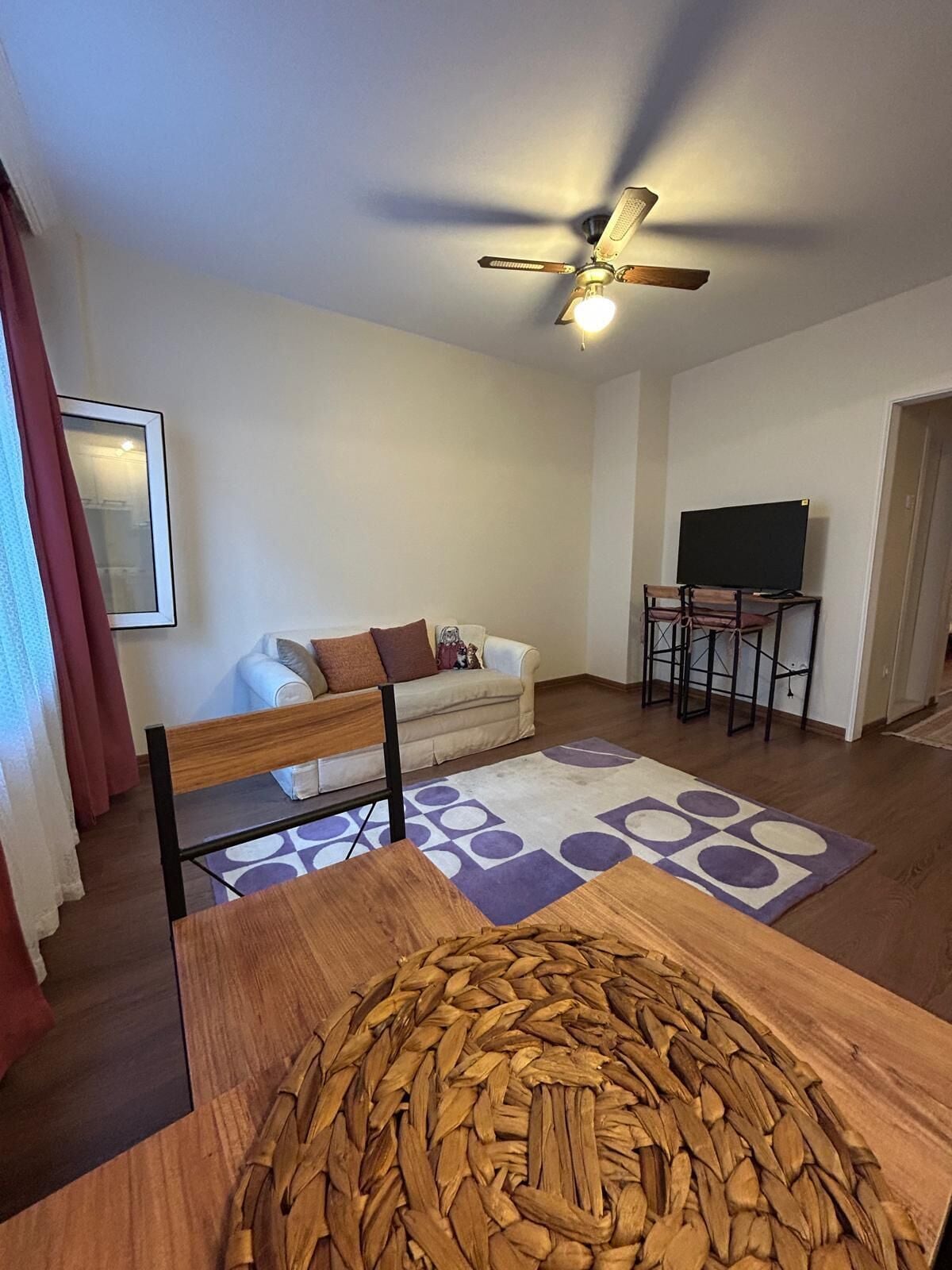 Basic Apartment | Living area