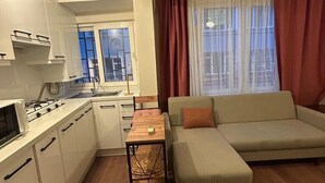 Basic Apartment | Living area - Besiktas1 (İstanbul)