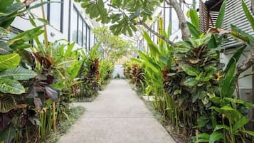 Terrein van de accommodatie