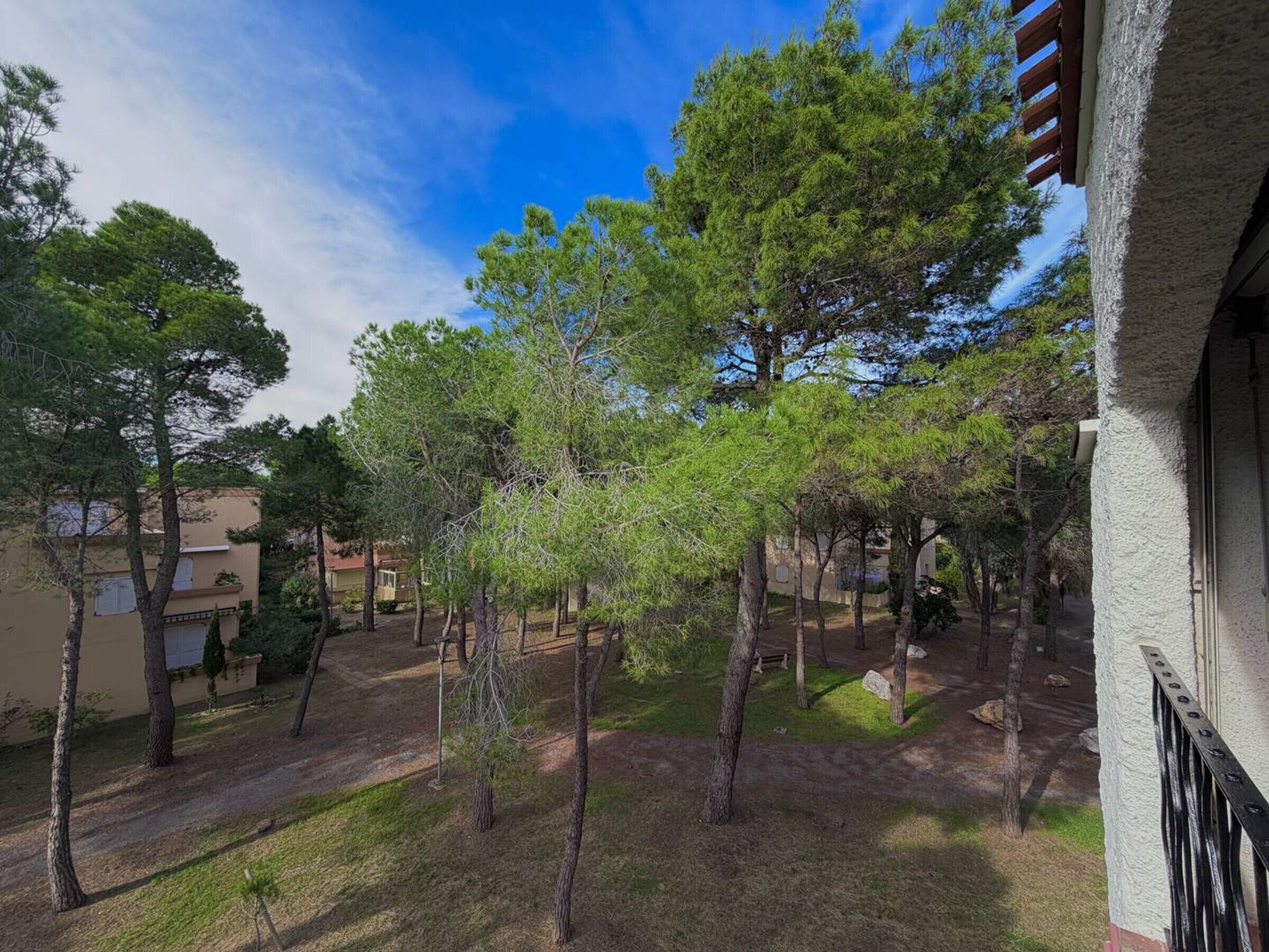 A courtyard with trees, a pathway, and a building with a balcony.