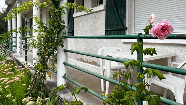 Ein Gebäude mit weißen Säulen und grünen Fensterläden, einem weißen Geländer und einer rosa Rose.