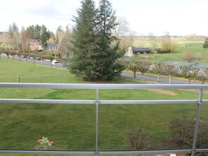 Blick von einem Balkon mit Metallgeländer auf eine begrünte Fläche mit Bäumen und einer Straße.