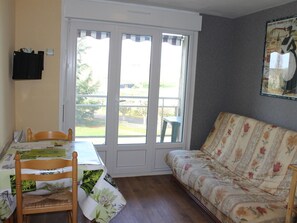 TV - Apartment near Thermes with WiFi and pets allowed (La Roche-Posay)