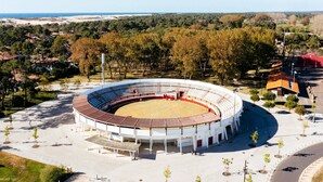 Ein großes Stadion im Freien mit einer kreisförmigen Sitzanordnung, umgeben von Bäumen und freiem Blick auf das Meer.