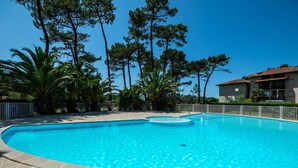 En swimmingpool med ett kaklat poolområde, omgiven av palmer och en byggnad med ett kaklat tak.