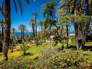 Property grounds - Apartment residence MARAZUL DEL SUR, ADEJE, TENERIFFE, sea view balcony (adeje)