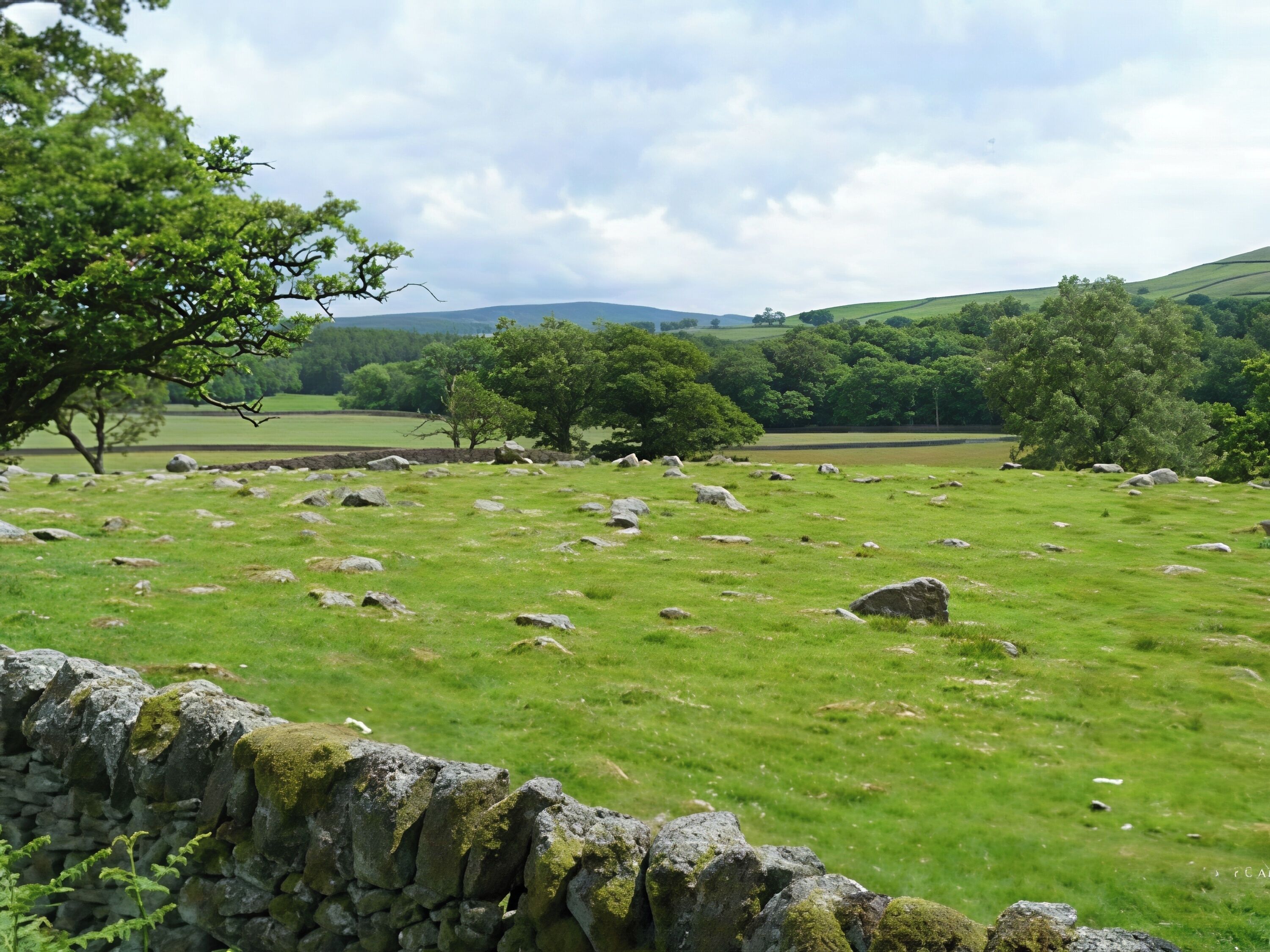 A stone wall with a grassy field and trees in the background.