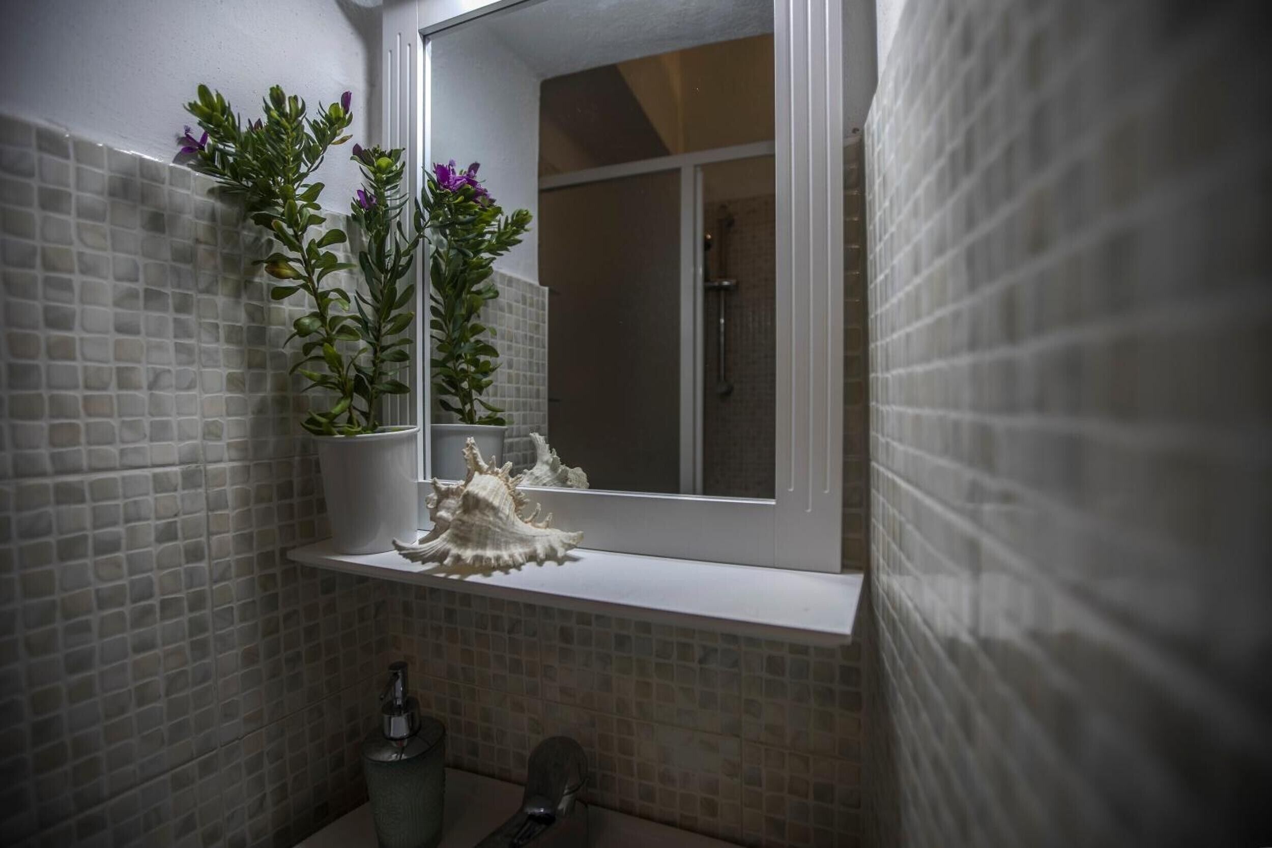 Regadera, secadora de cabello, toallas 