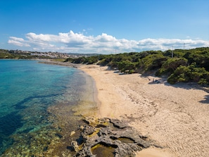 Une plage à l’eau claire, avec un rivage sablonneux et une végétation luxuriante.