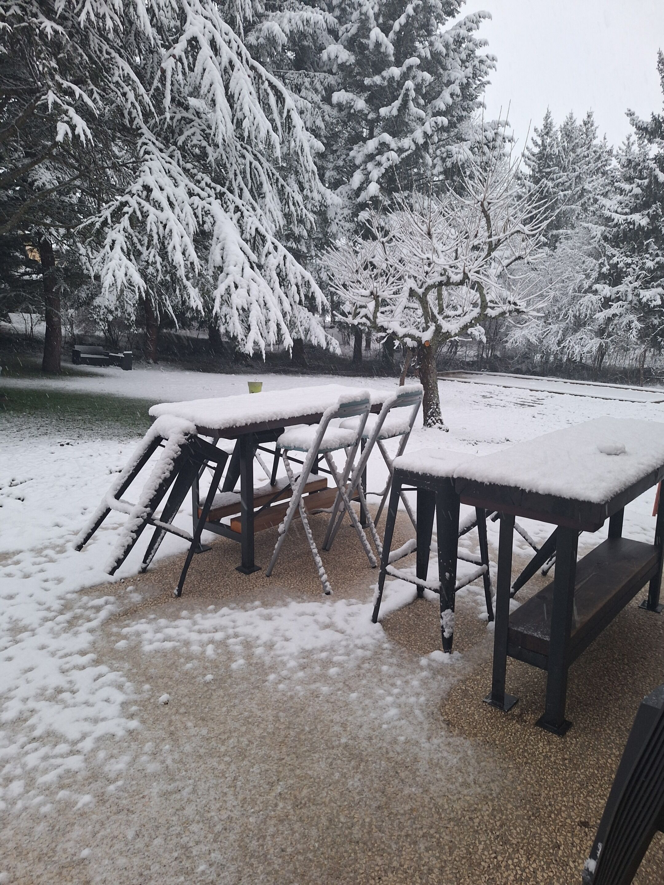 Un área de estar al aire libre cubierta de nieve, con mesas y sillas, rodeada de árboles cargados de nieve.