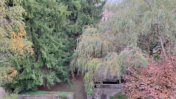 A garden with various trees, including a large coniferous tree and a weeping willow. There is a stone wall and a gravel path.