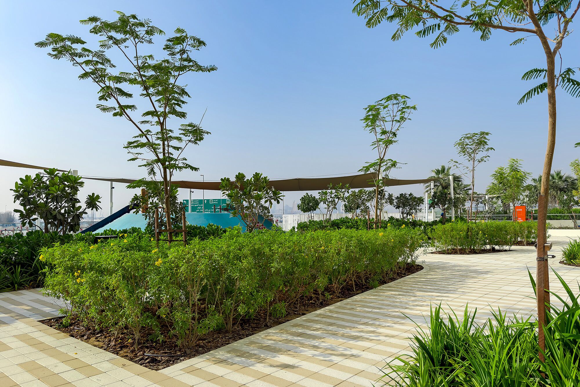 A landscaped outdoor area with a paved walkway, various shrubs, and trees.