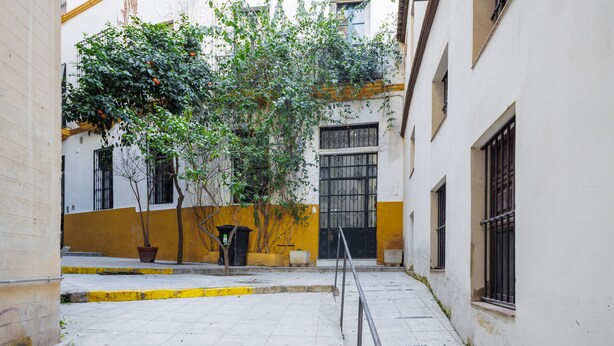 Un callejón estrecho con un árbol, un contenedor de basura y un edificio con ventanas protegidas por barrotes.