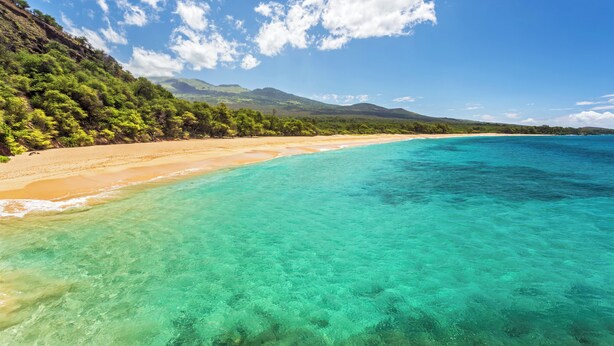A beach with clear turquoise waters, sandy shore, and lush greenery. - NICELY UPDATED-OCEAN VIEWS-PRIME LOCATION-LARGE LANAI-AC-WELL EQUIPPED (Kihei)