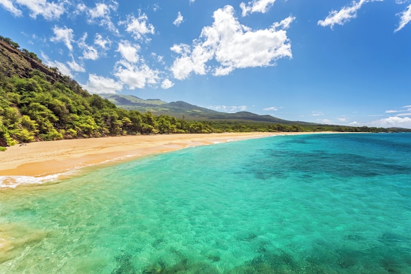Beach nearby - NICELY UPDATED-OCEAN VIEWS-PRIME LOCATION-LARGE LANAI-AC-WELL EQUIPPED (Kihei)