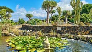 Ein Garten mit Teich, verschiedenen Kakteen und einer Statue.