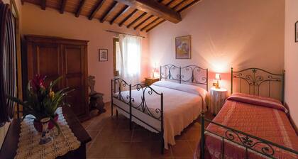 Apartment in the heart of Tuscan nature. Pets allowed