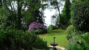 A garden with a fountain, lush greenery, and a well-maintained lawn.