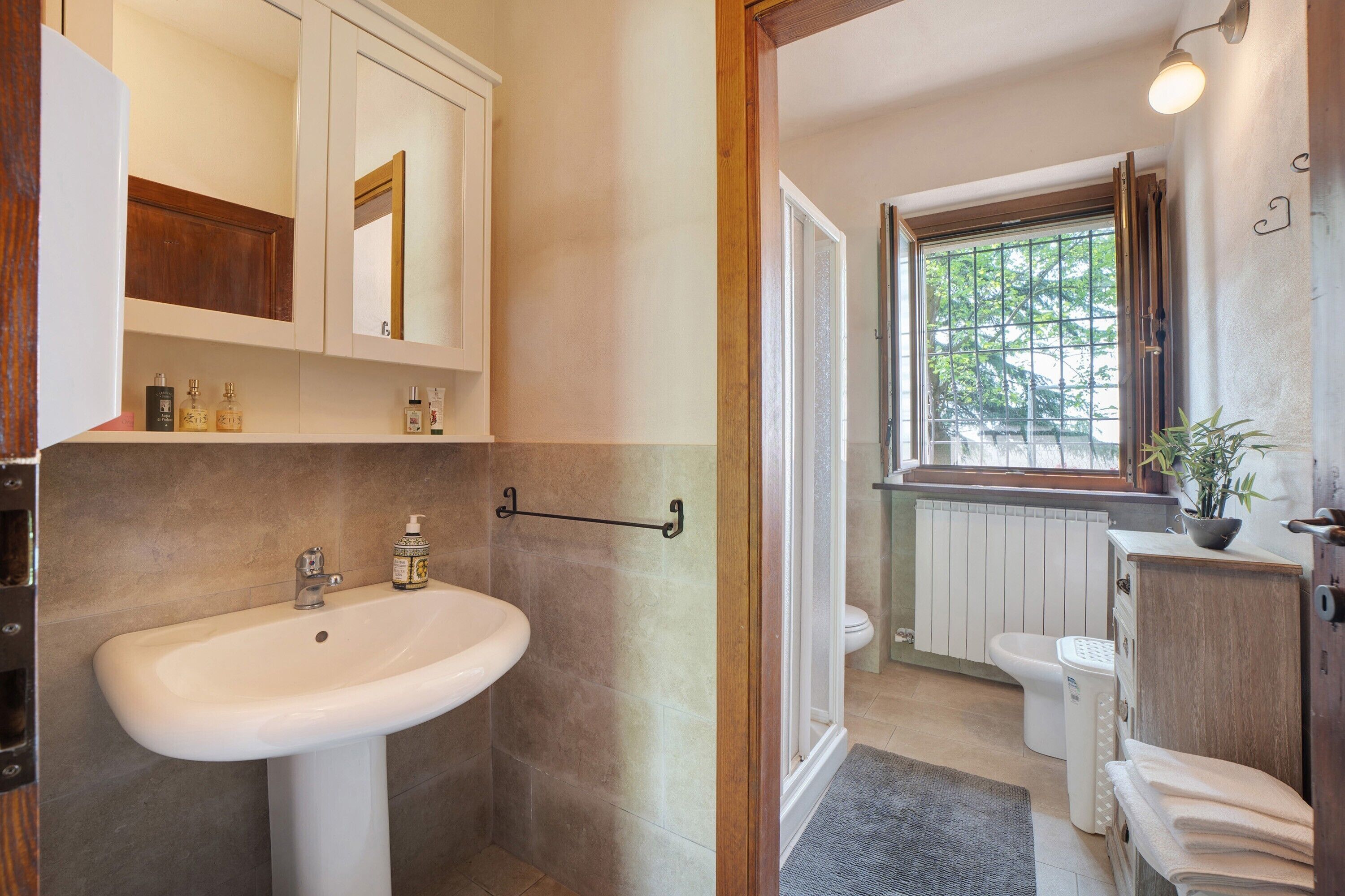Shower, hair dryer, towels