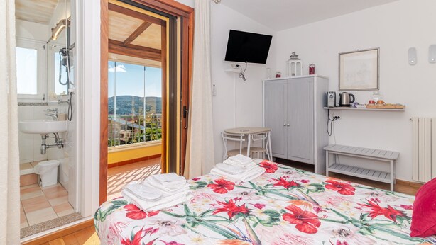 Un dormitorio con cama, televisión, una mesita, armario y baño con ducha.