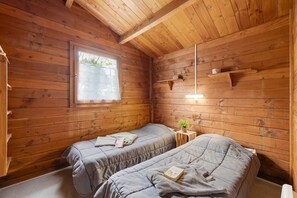 Fer et planche à repasser