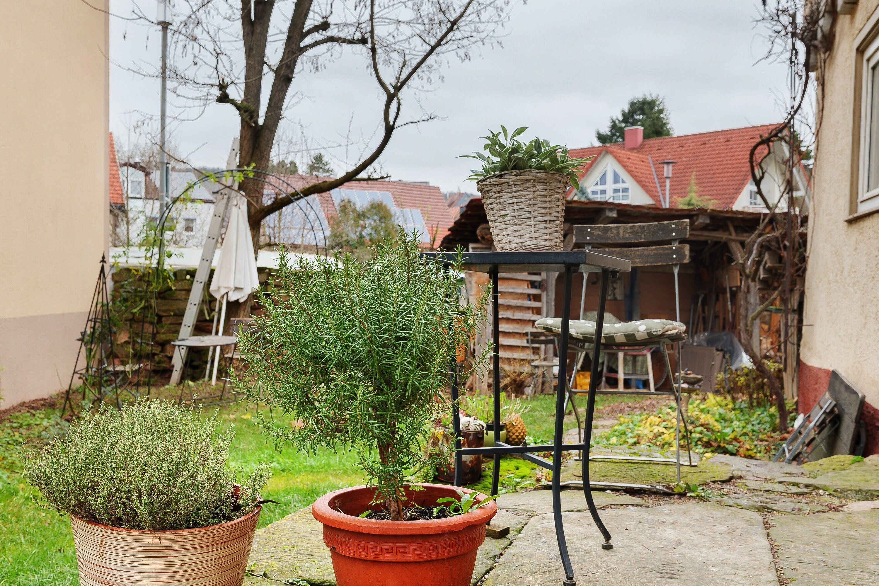 A garden with potted plants and a metal chair.