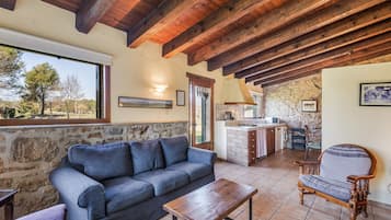 Televisio, takka, pöytätennispöytä