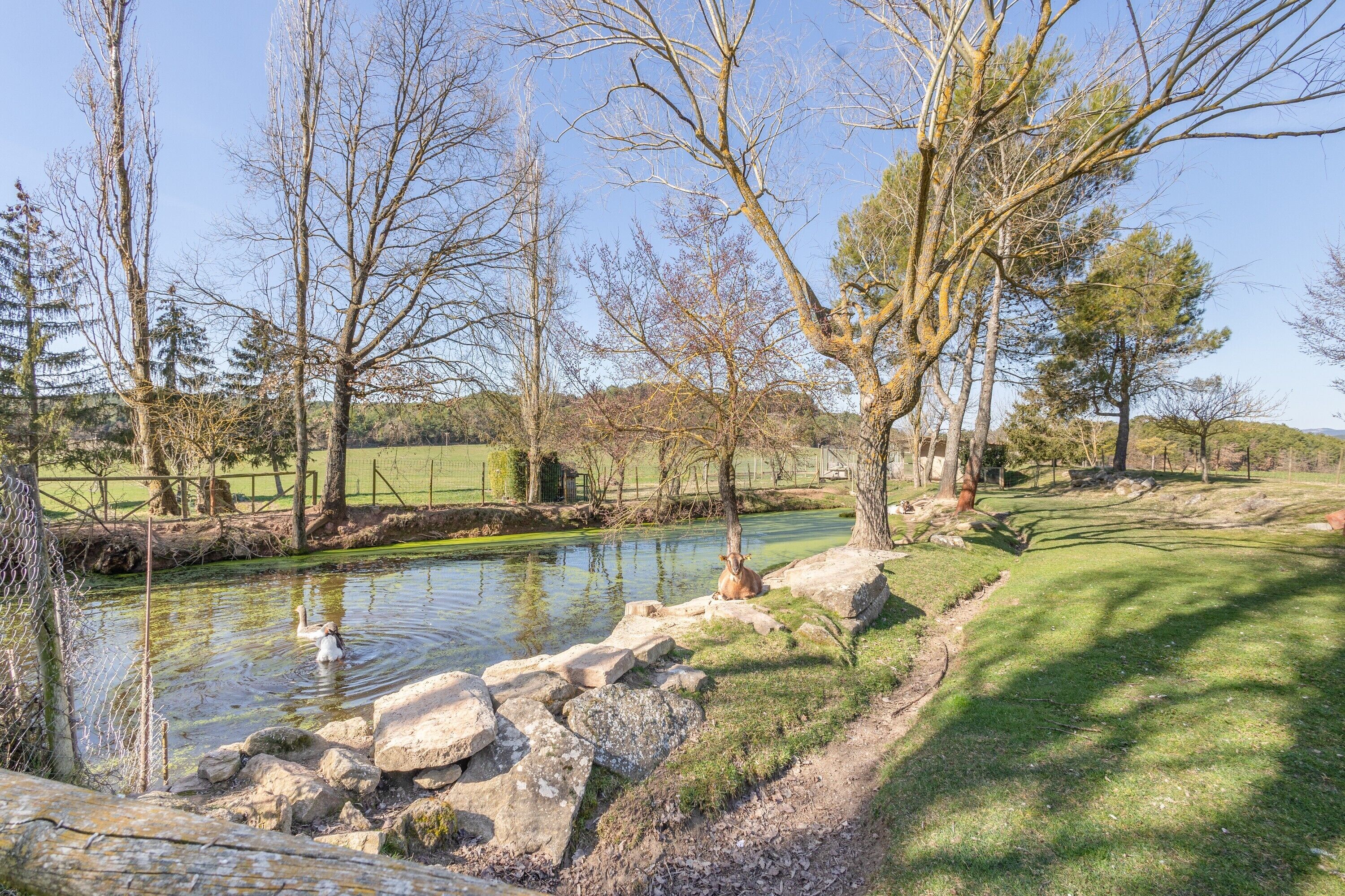 Áreas de la propiedad