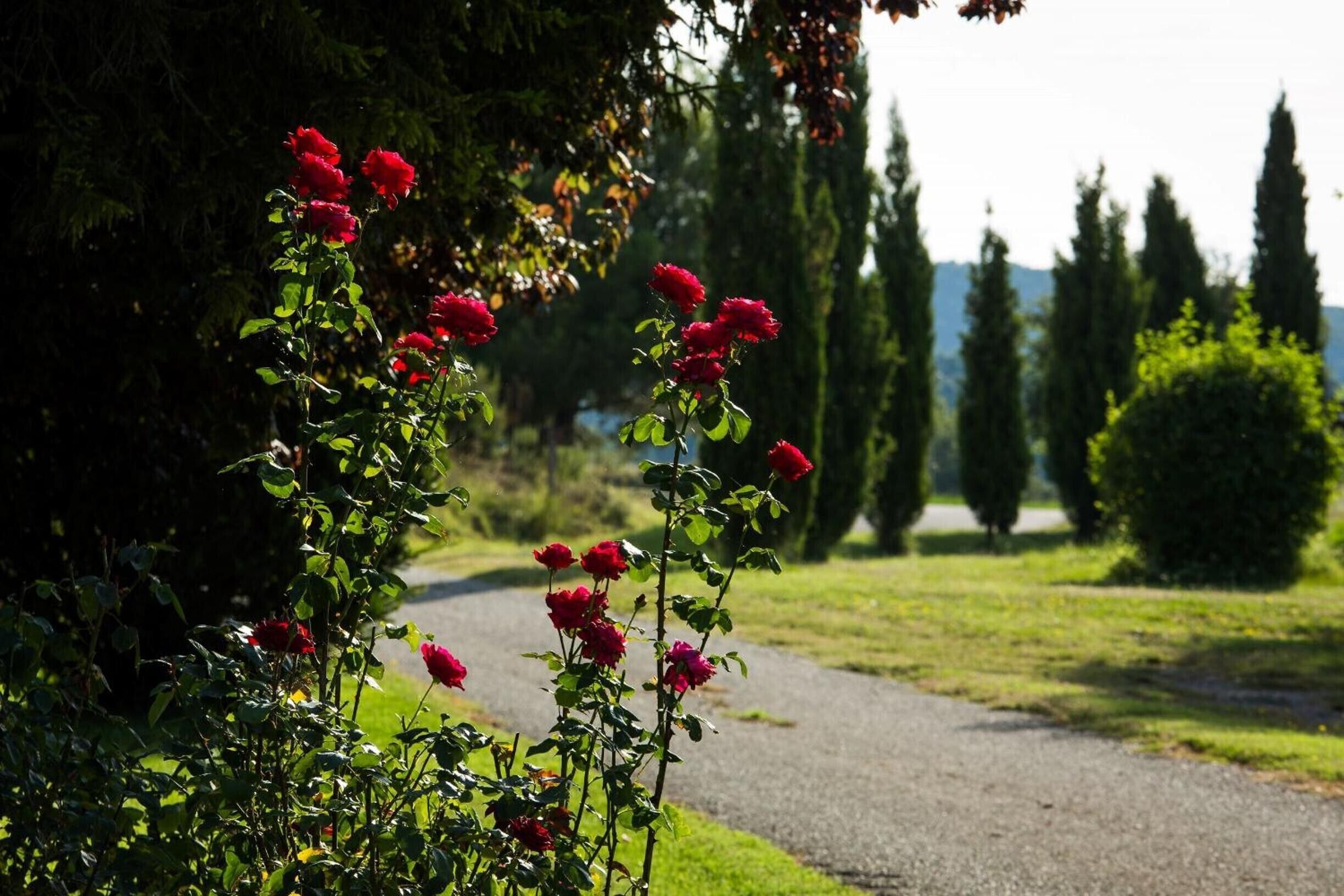 Jardines del alojamiento